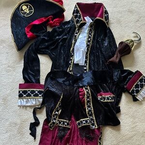 Captain Hook Pirate Velvety Mens Costume - Large